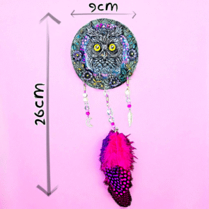 Enchanted Owl Wall Art